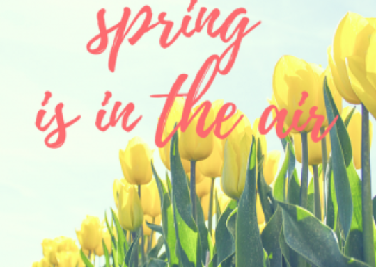 Flowers with the caption: Spring is in the air
